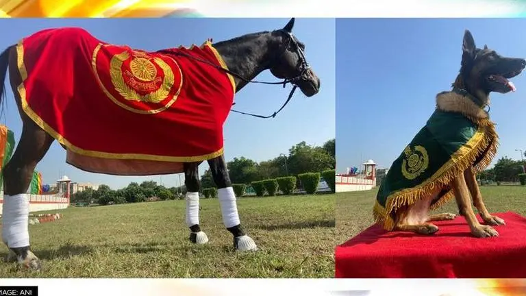 ITBP presents special medals to its best K9 dog 'Snowy & horse 'Champion' at annual parade ITBP