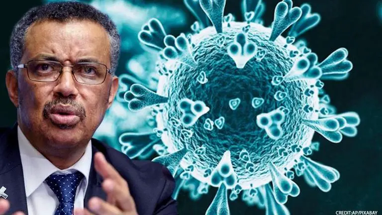 COVID-19 cases and deaths 'plateauing' worldwide, says the World Health Organization COVID-19