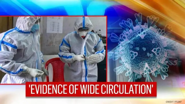 WHO team finds COVID-19 infection clusters 'even outside seafood market' in December 2019 WHO team