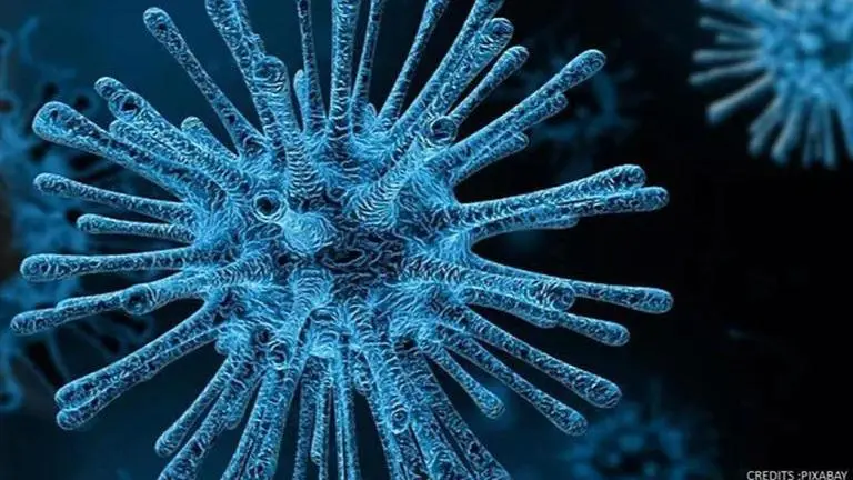 C.1.2 variant of SARS-CoV-2 found in 8 countries: Here's everything you need to know C.1.2 variant