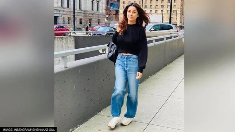 Shehnaaz Gill dances to 'Zingaat' at manager's party; fans wish her 'happiness & safety' Shehnaaz Gill