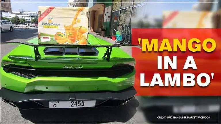 Dubai man delivers mangoes in Lamborghini, gives joy ride to customers Dubai