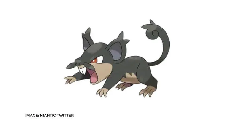 how to evolve alolan rattata in pokemon go