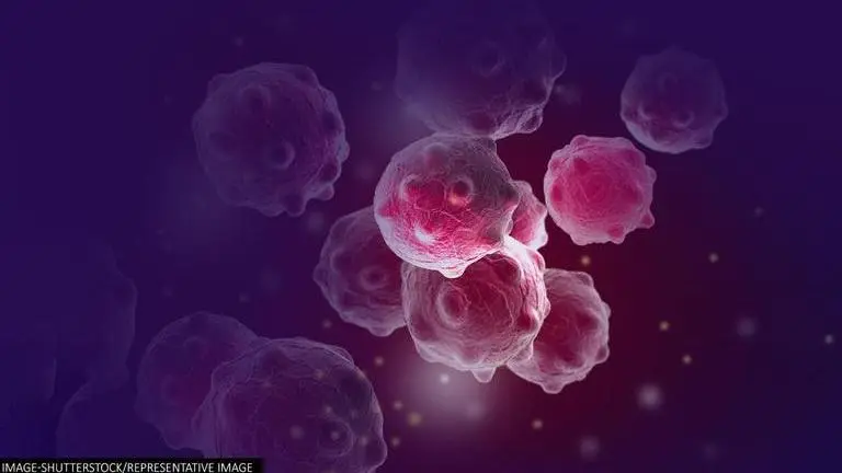 Study reveals how Cancer cells use 'tiny tentacles' to deplete power in immune cells Cancer