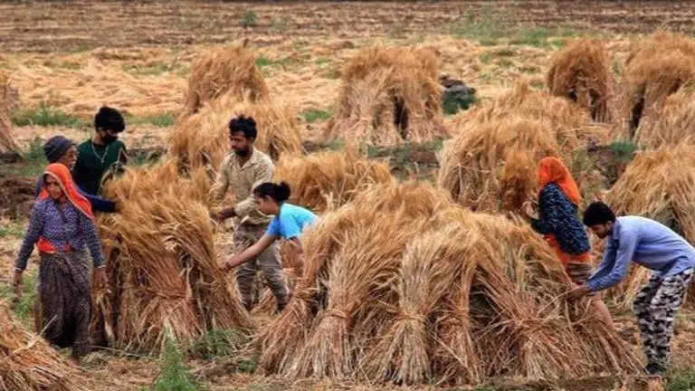 PM Kisan eKYC deadline extended to July 31: Here's how to enroll on the PM Kisan website PM Kisan