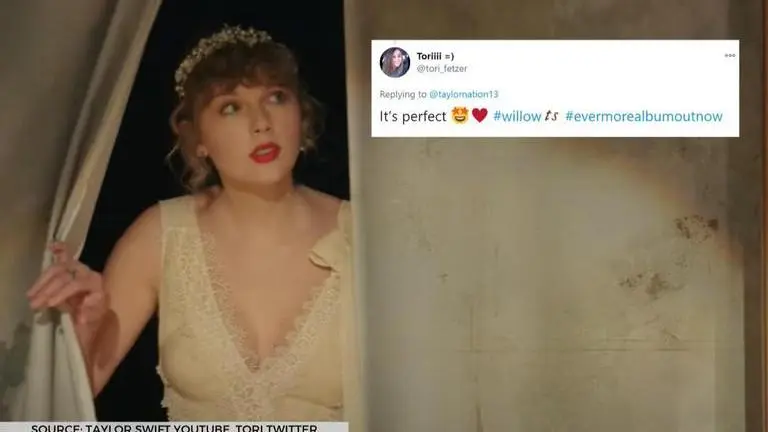 taylor swift's willow video