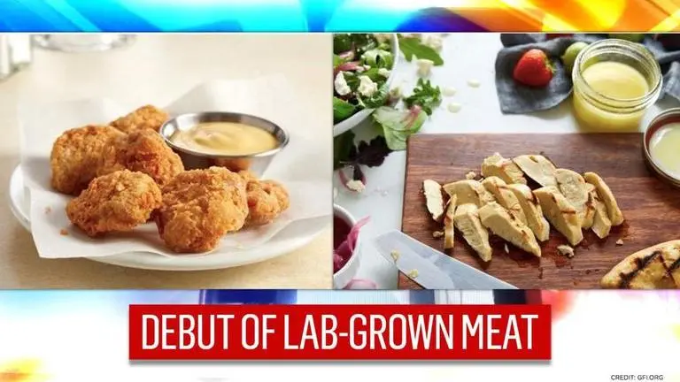 Lab-Grown Meat to make its debut after Singapore Food Agency approves its sale Lab-Grown Meat