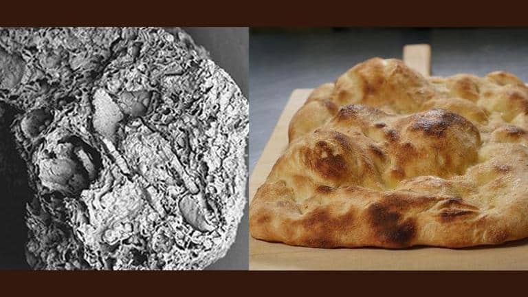 70,000-year-old 'flatbread' discovered in caves of Iraq presumed to be ...