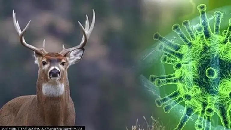 Canada reports first cases of COVID-19 in wildlife; all deer 'healthy & show no symptoms' Canada
