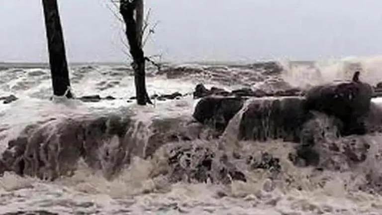 Cyclone Bulbul : Bodies of four fishermen missing in trawler Cyclone Bulbul