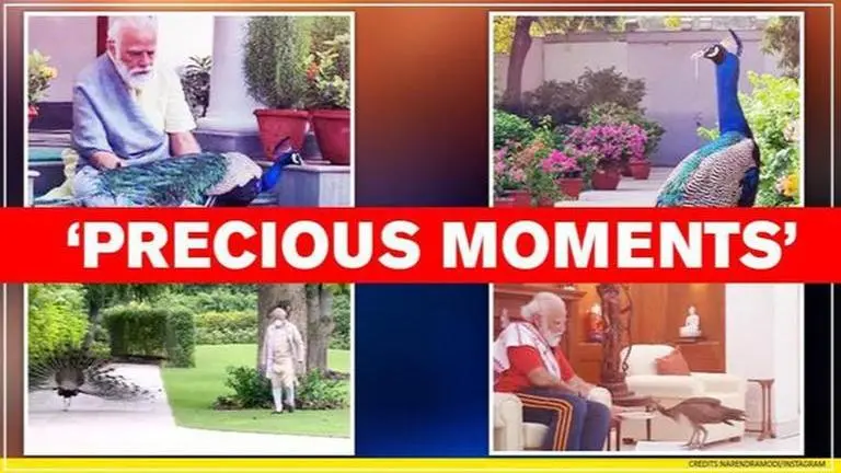 PM Modi shares beautiful video of his bond with peacocks from his residence PM Modi