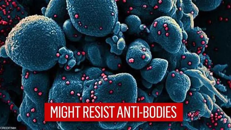 Antibodies, vaccines may not be effective against South Africa's COVID-19 variant : Study Anti-bodies, vaccines against South African virus variant may not be effective: Study