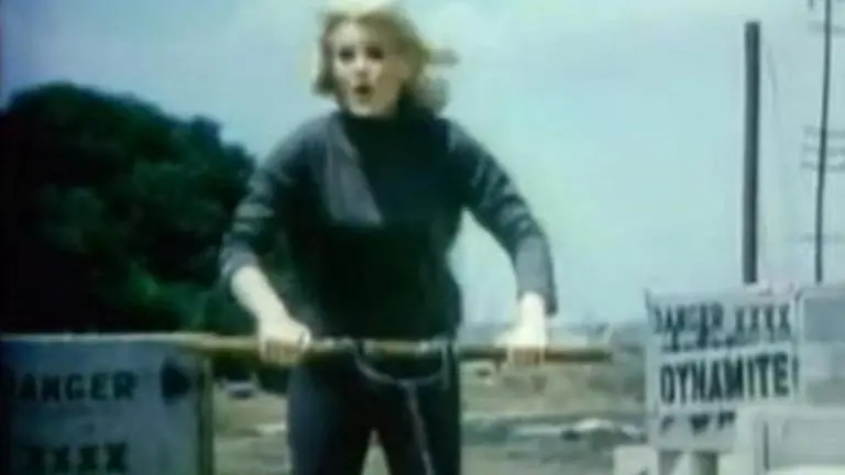 All you need to know about Pamela Austin, the star of 'Dodge' commercials pamela austin dodge commercial