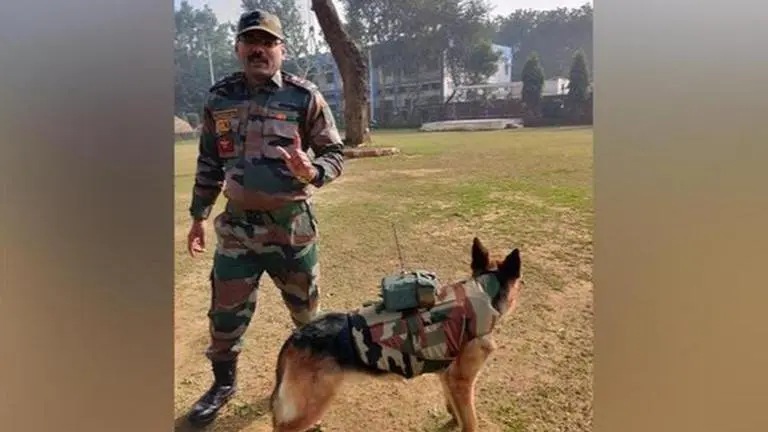 Indian Army training dogs for surveillance during counter-terror operations