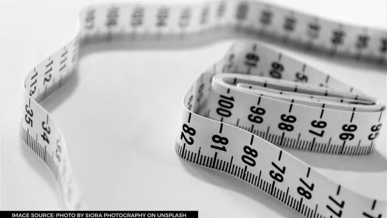 Foods that burn fat and should be included to your diet to lose weight foods that burn fat