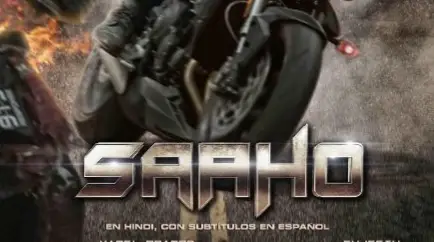 Description of the pic