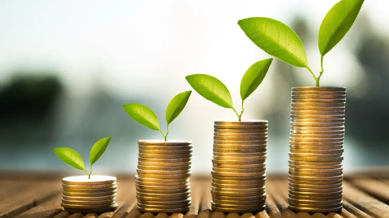 high-yield savings account