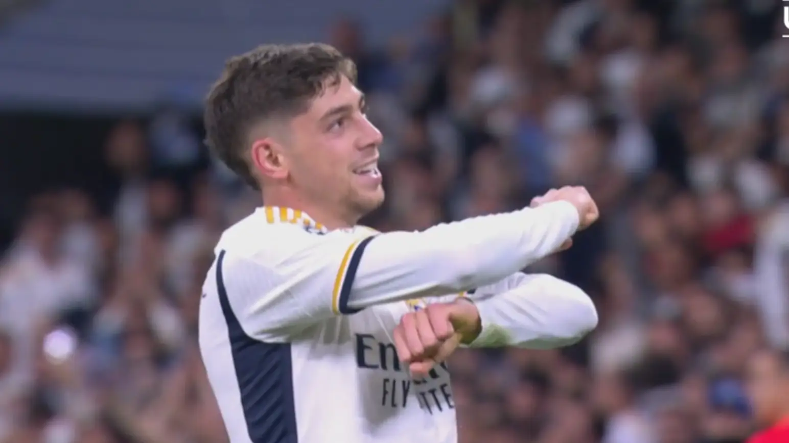 Description of the pic