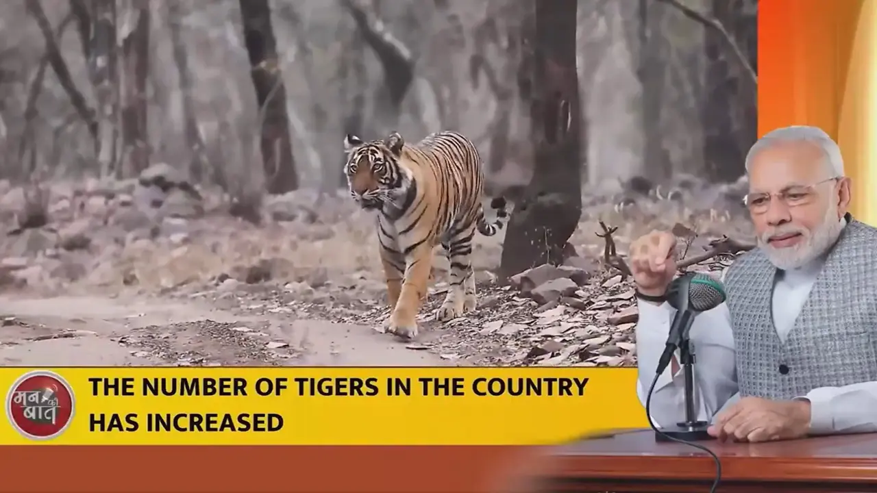 AI for human-tiger harmony: Union IT Minister tweets PM’s Mann Ki Baat excerpt Prime Minister Mann Ki Baat