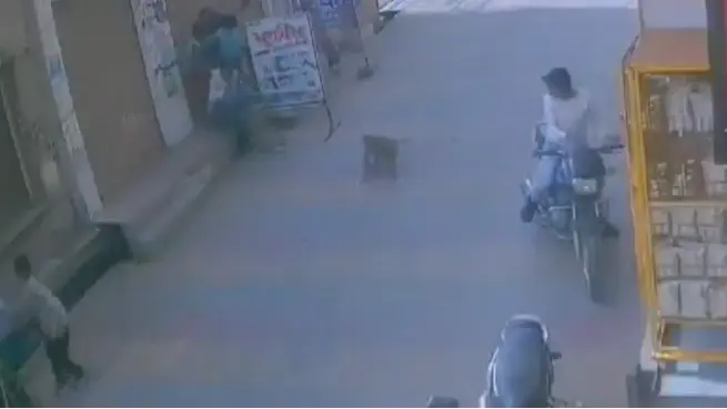 Monkey Attacks Minor Boy in UP's Saharanpur