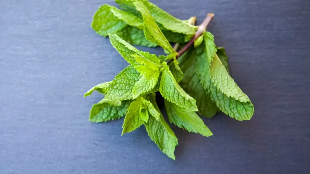 Cooling Mint Recipes That Should Become A Staple In Your Summer Meals Mint Leaves when added to beverages not only enhances flavour but reduces your body heat.