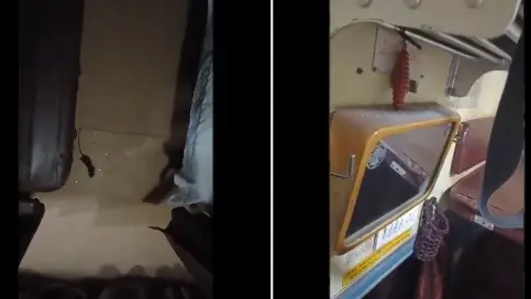 Viral Video: Rat Found in Train's AC Compartment, Railway Responded Woman shares video of rat in train.