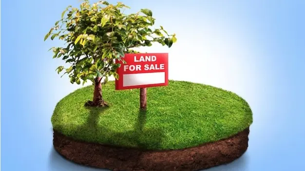Land prices in Japan rebound sharply, marking fastest growth since 1991 Japan's land prices rise at fastest pace since 1991