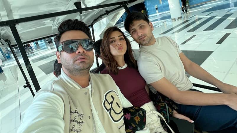 Description of the pic