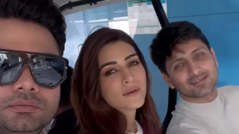 Description of the pic