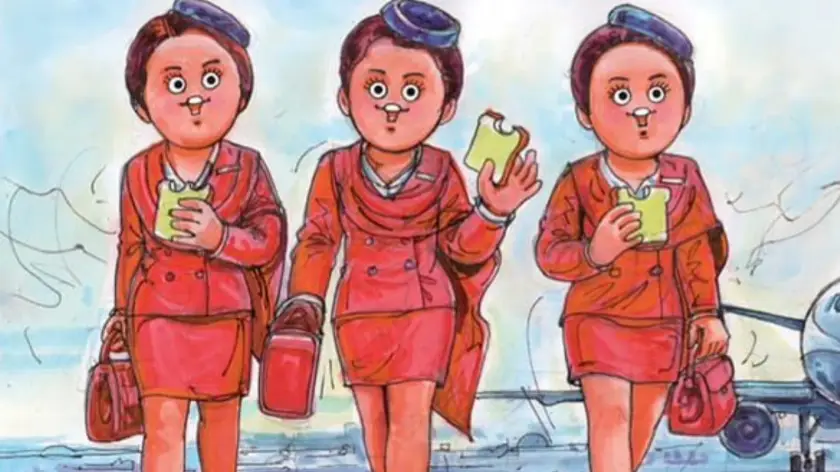 Description of the pic