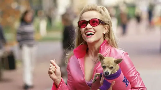 Description of the pic