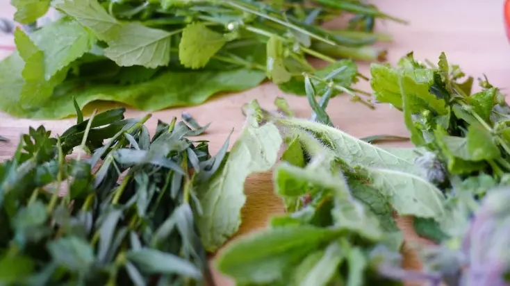 Fresh Breath To Aid In Digestion: Benefits Of Adding Mint Leaves To Daily Meal In Summers Mint recipes