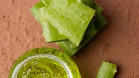 Aloe vera for skin