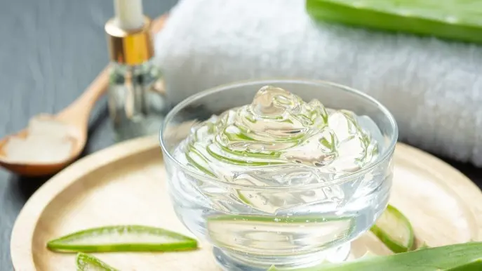 Aloe Vera Pulp: The Natural Solution For Skin, Hair, And Dietary Problems Aloe vera
