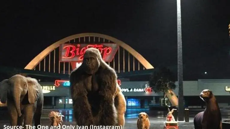 Is Ivan the Gorilla still alive? Here's the real story behind the new Disney film is the one and only ivan still alive