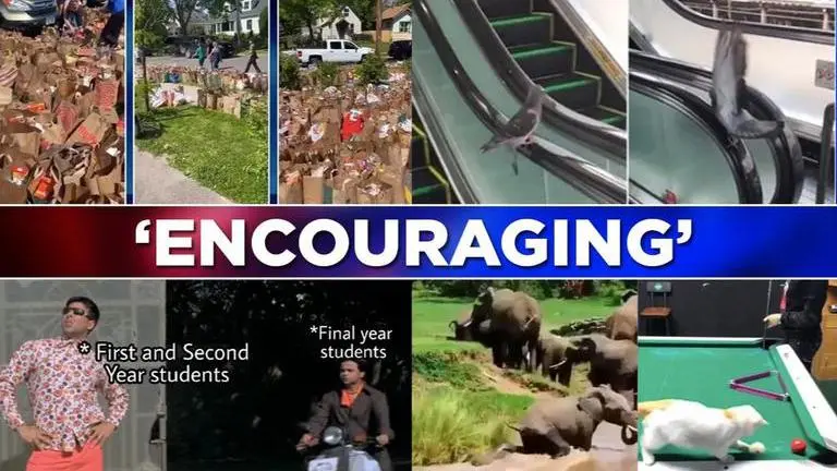 Good News: Minnesota residents donate tons of food to elephant saving its infant