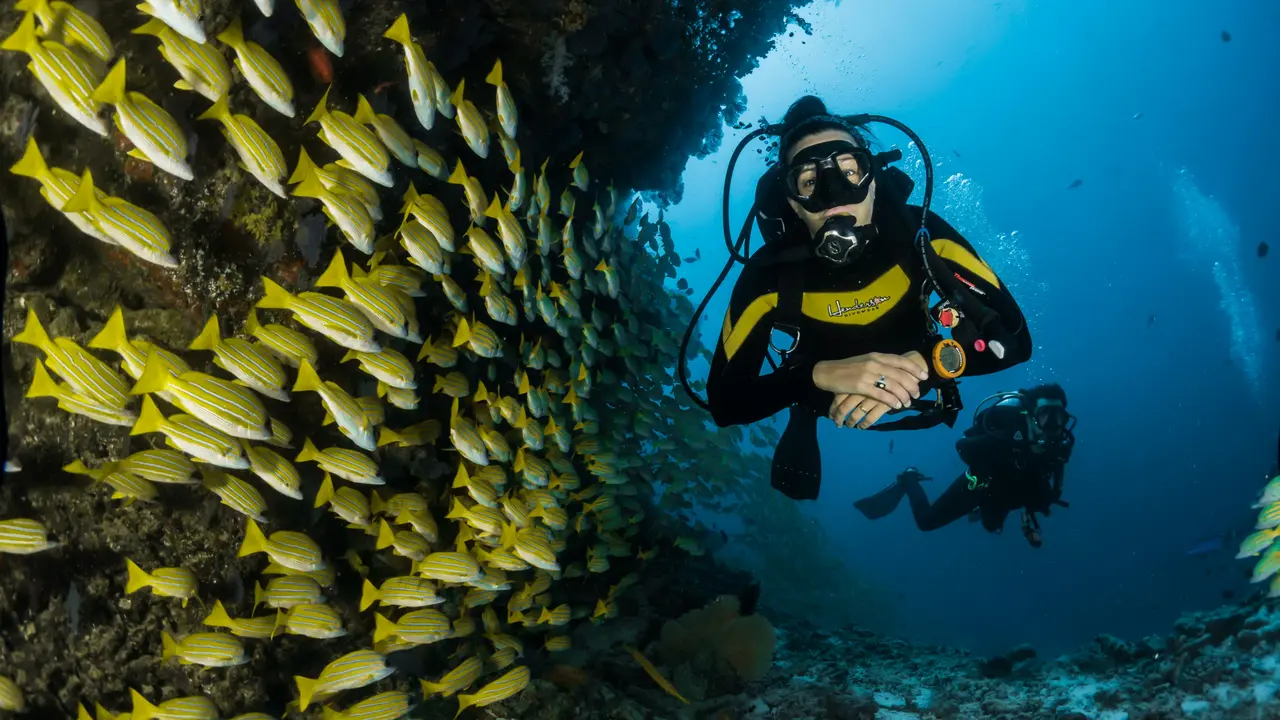 Agoda Unveils Top Dive Destinations in Asia for International Scuba Day Scuba-diving