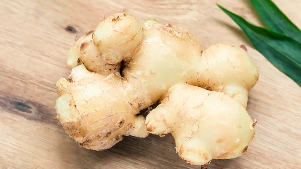 Ginger is highly valued in Ayurveda
