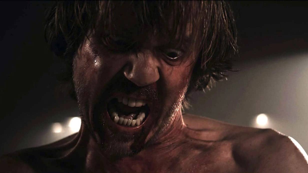 Description of the pic