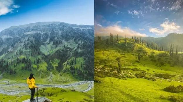 Description of the pic