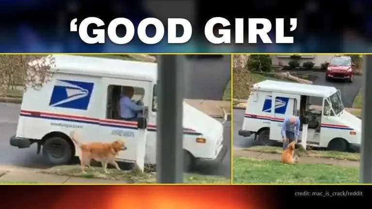 ‘Highlight of the day’: Adorable friendship between dog, mailman leaves netizens awestruck Highlight