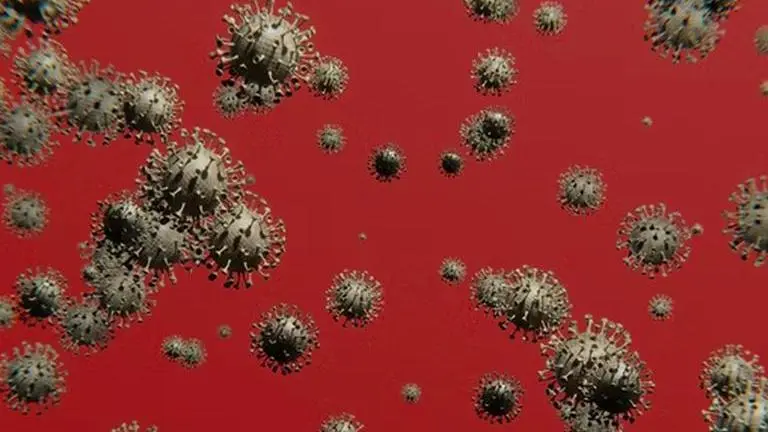 Antimicrobial resistance the leading cause of death worldwide, 4.95 M died in 2019: Study Superbug Infections