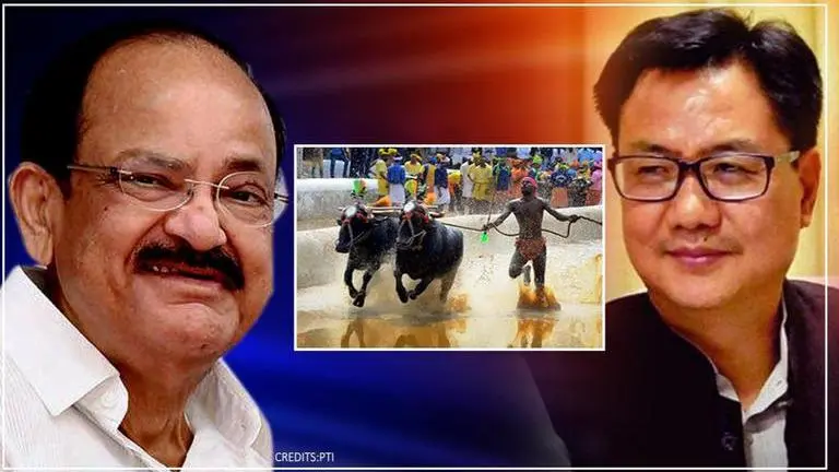 VP Naidu congratulates Kambala Buffalo Racer, compliments Rijiju for acknowledging it Naidu