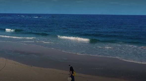 Description of the pic