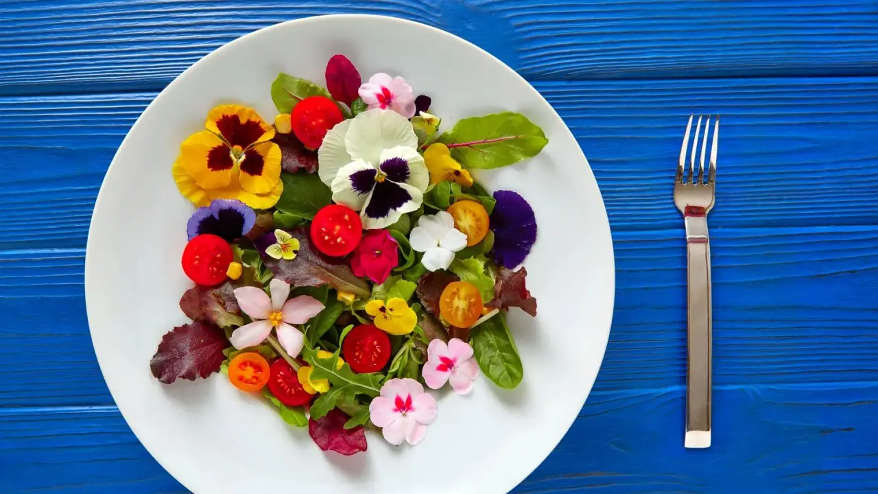 Rose to Hibiscus: Edible flowers and their potential health benefits Flowers in food