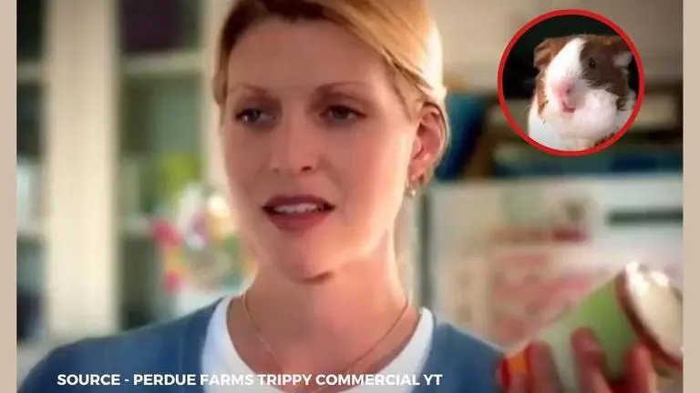 Perdue Farms Commercial - Host John Oliver brings back strange guinea pig commercial perdue farms commercial