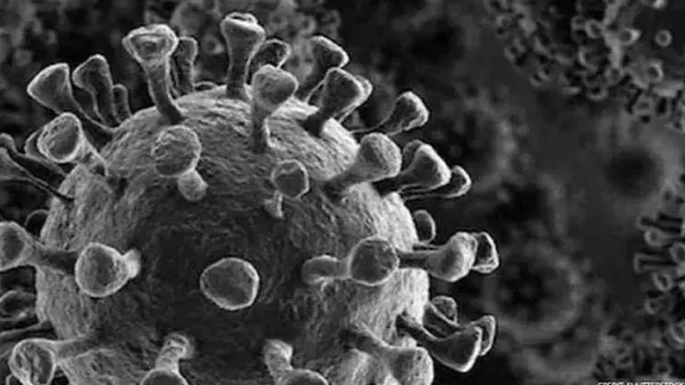 Jharkhand's COVID-19 caseload rises to 26,300; death toll mounts to 278