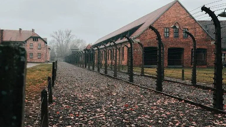 At Auschwitz camps, 800 Romani children were systematically murdered on this day in 1944 Auschwitz