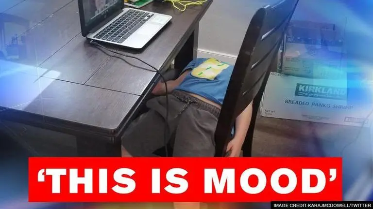 'This is all of us': Photo of kid sleeping during Zoom class defines 2020 mood Zoom Class