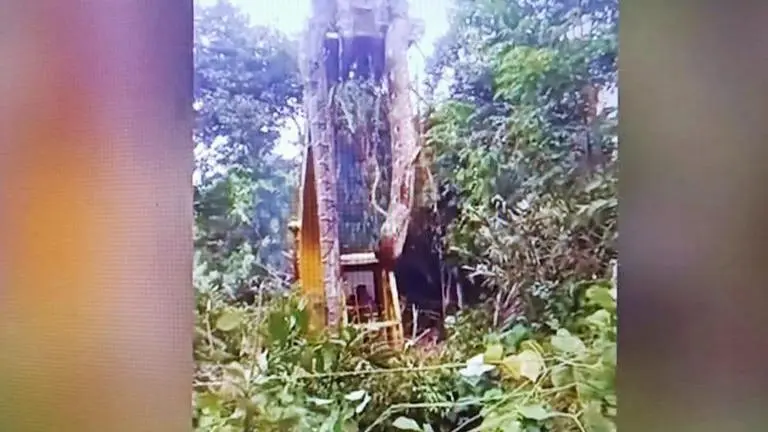 Massive snake lifted by crane from rainforest, netizens call it 'World's biggest snake' Snake